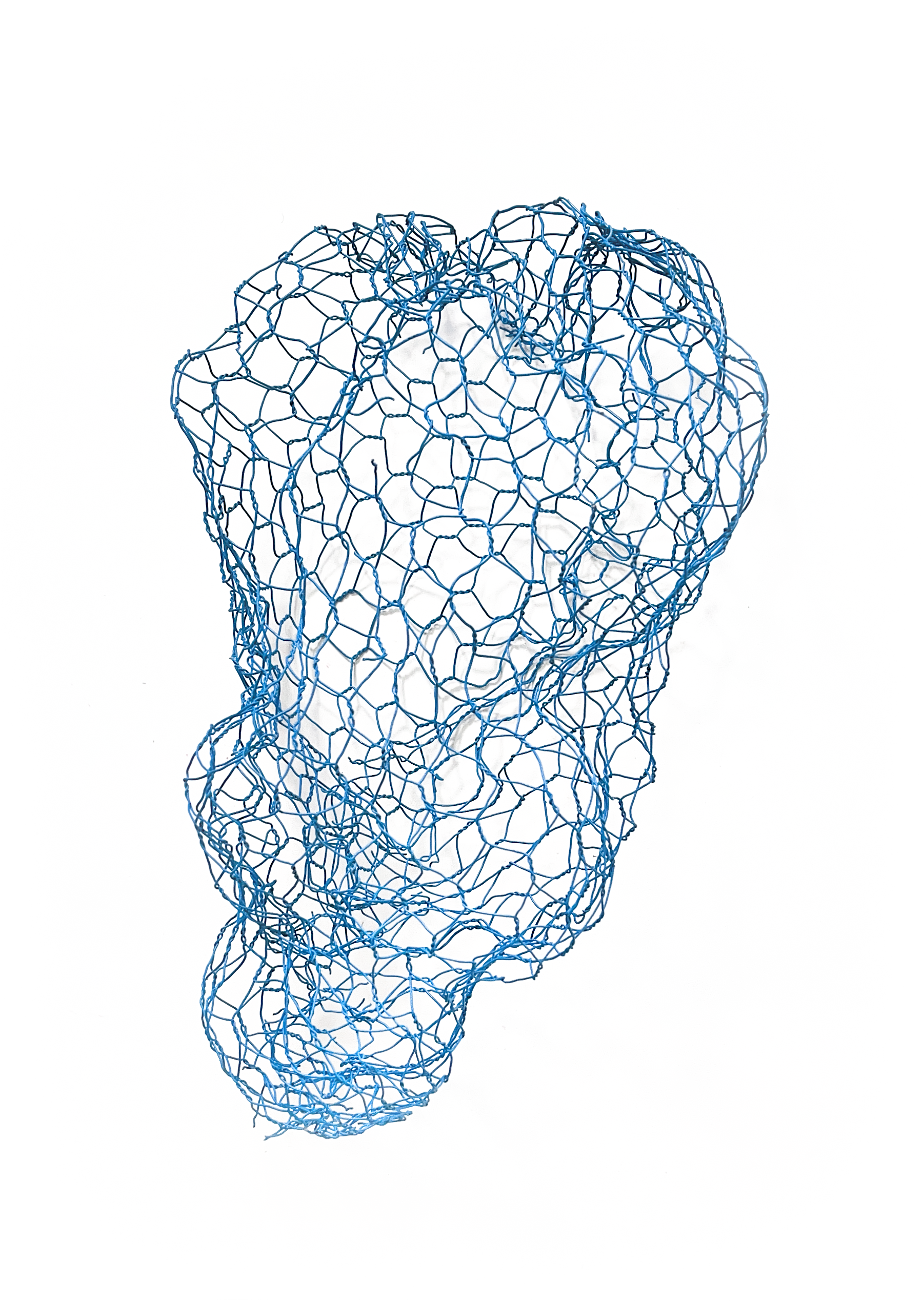 CORAUX GRILLAGE BLEU